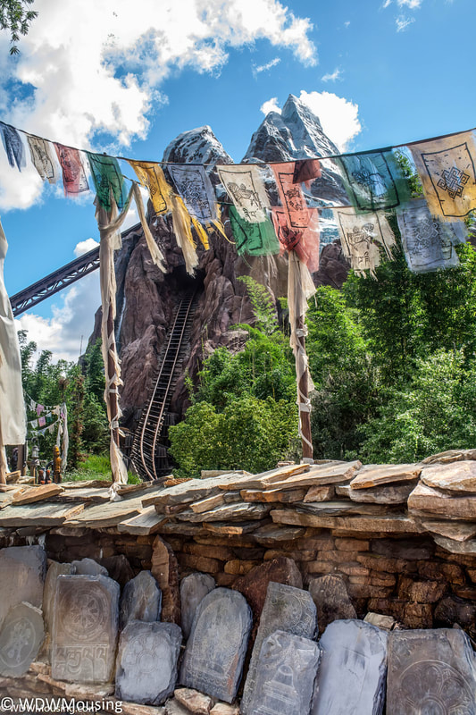 Escape the Yeti on Expedition Everest in Disney's New Ride & Learn Video