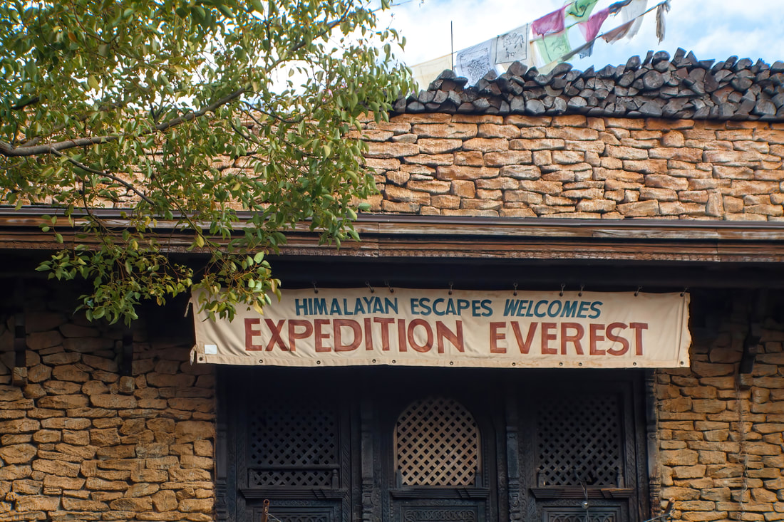 Escape the Yeti on Expedition Everest in Disney's New Ride & Learn Video